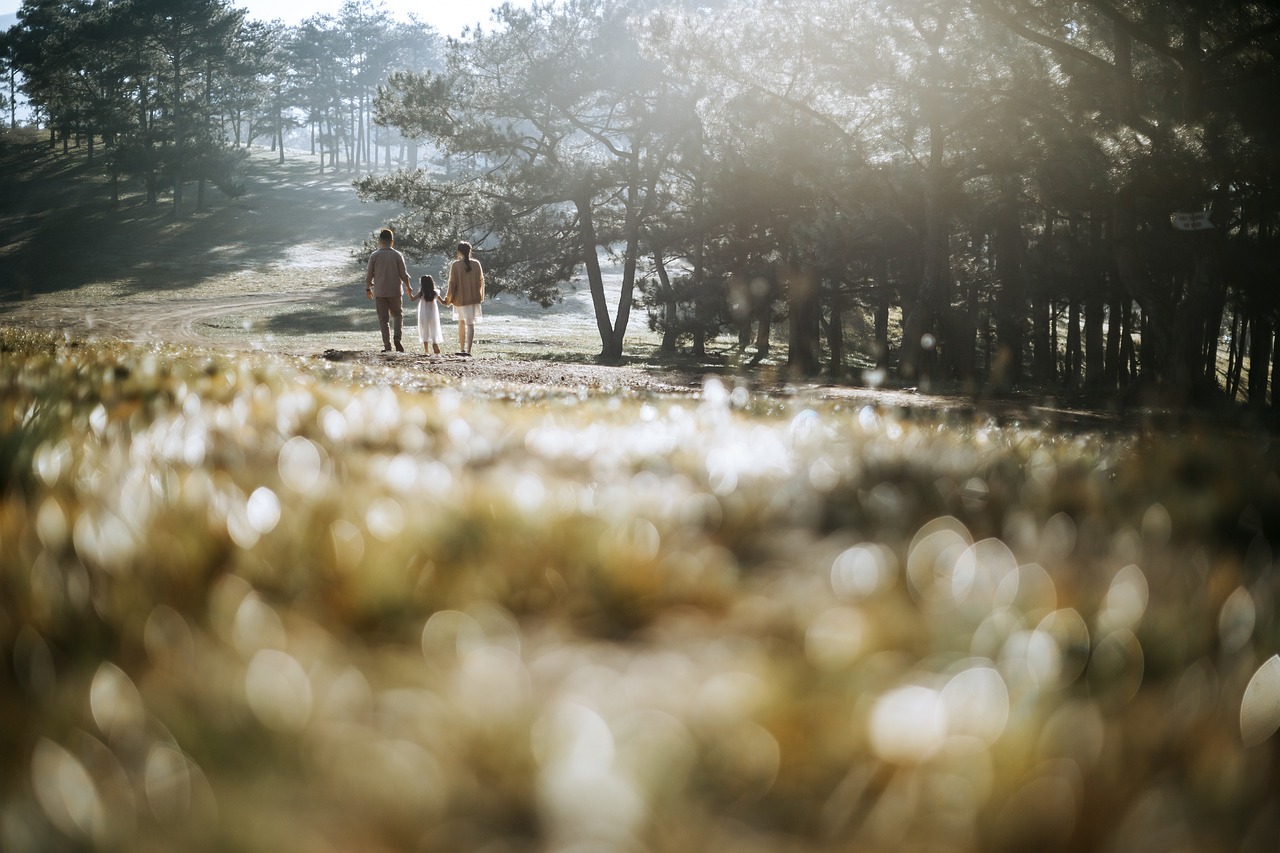 가족 간 계좌 이체 증여